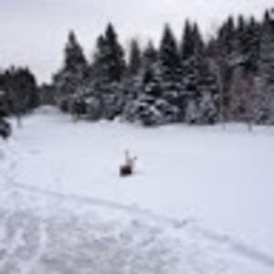 Meet your Posher, Joanne